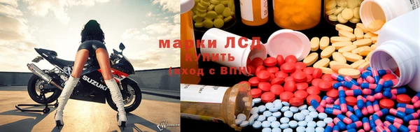 СК Володарск