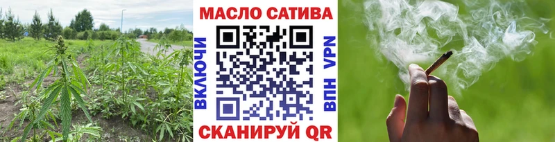 ТГК концентрат  Купить закладки  Советск 